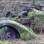 _45634251_vintagegrowing4 _45634251_vintagegrowing4