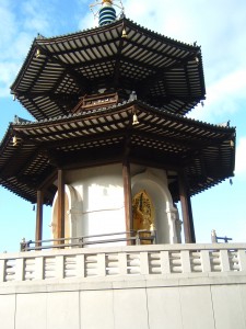 DSCF0063