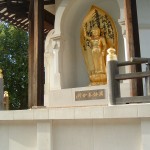 DSCF0065 DSCF0065