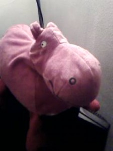 The Pink Hippo of inspiration