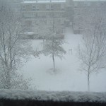 DSCF0002 DSCF0002