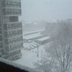 DSCF0003 DSCF0003