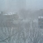 DSCF0004 DSCF0004