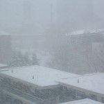DSCF0005 DSCF0005