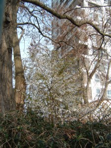 DSCF0064